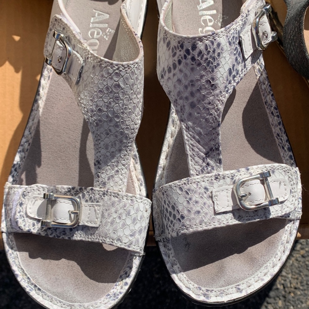 Alegria White and Gray Snake Print Sandals